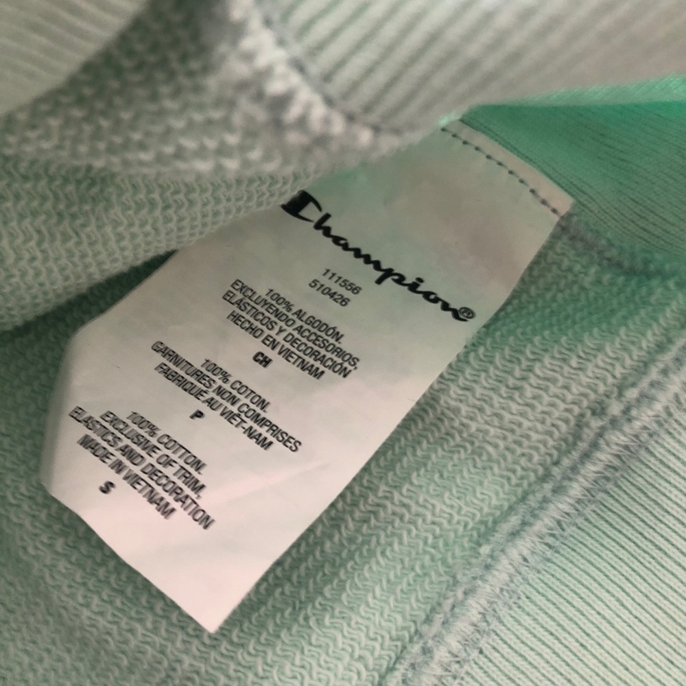 Champion Reverse Weave Small Script Hoodie Hemlock - Picture 10 of 11